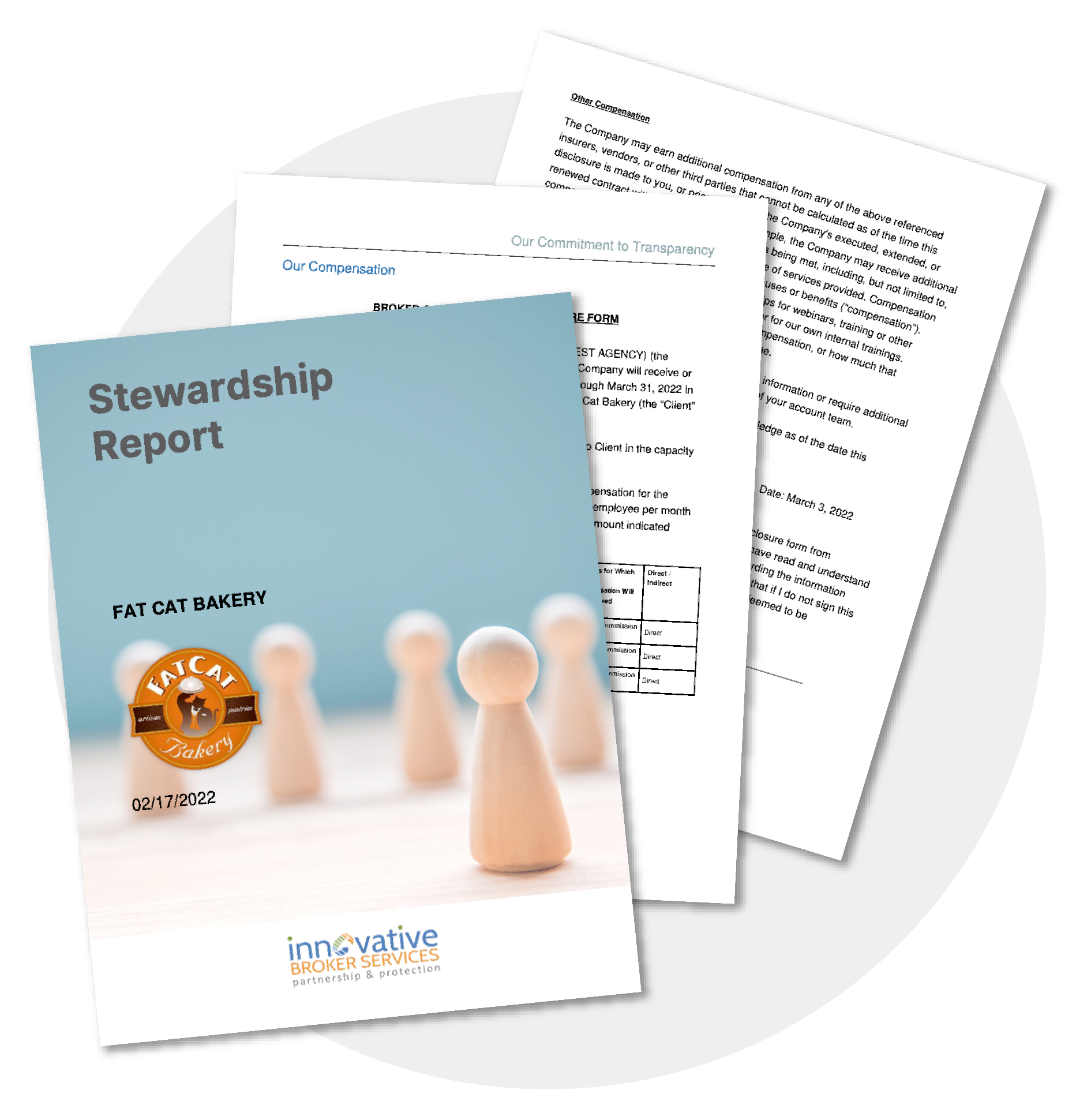 Mock up of the Stewardship Report